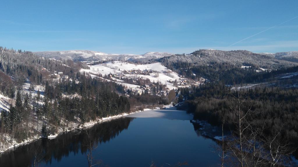 Rezydencja Prezydenta Rp Zamek W Wisle Wisła Buitenkant foto